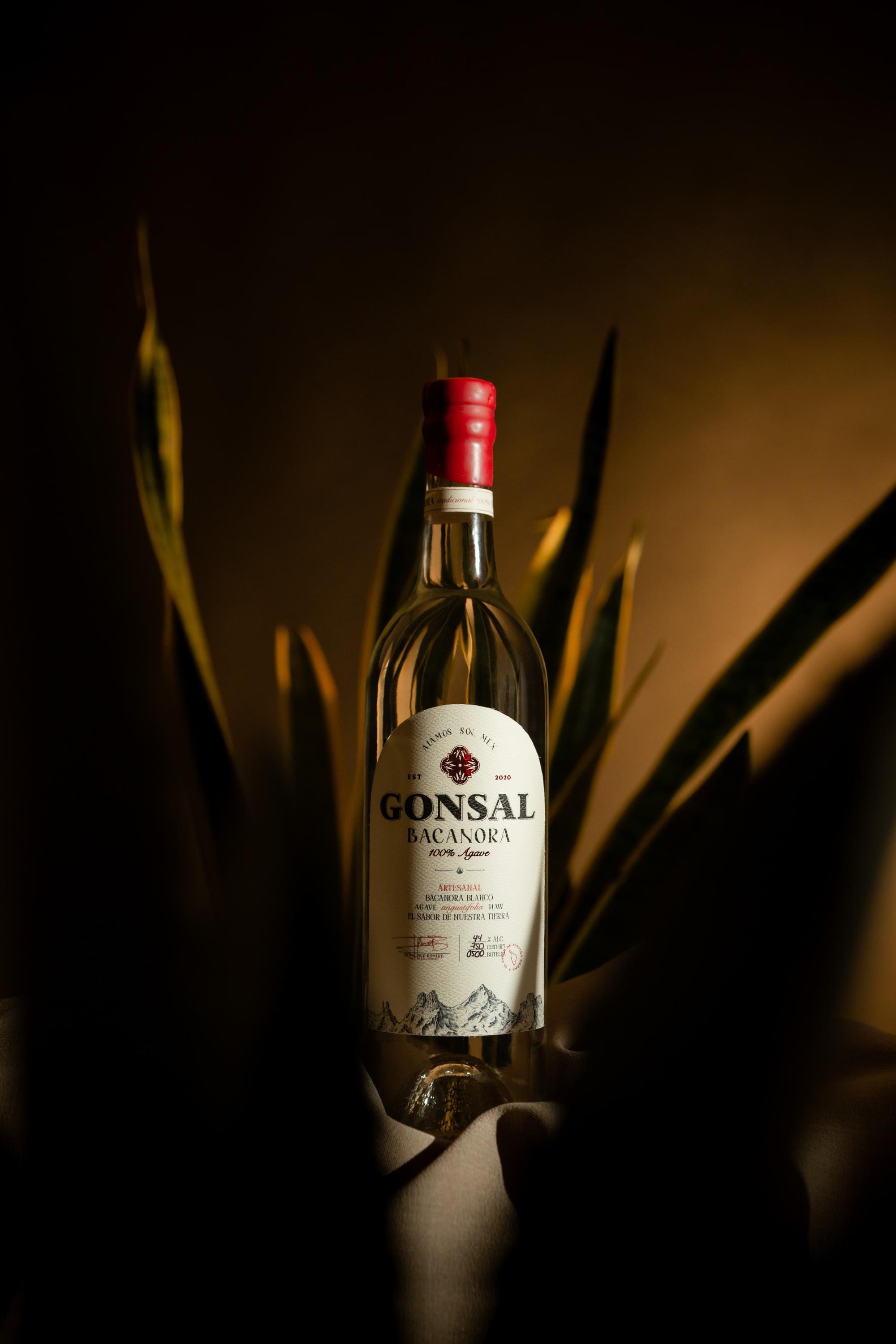 Bacanora Gonsal