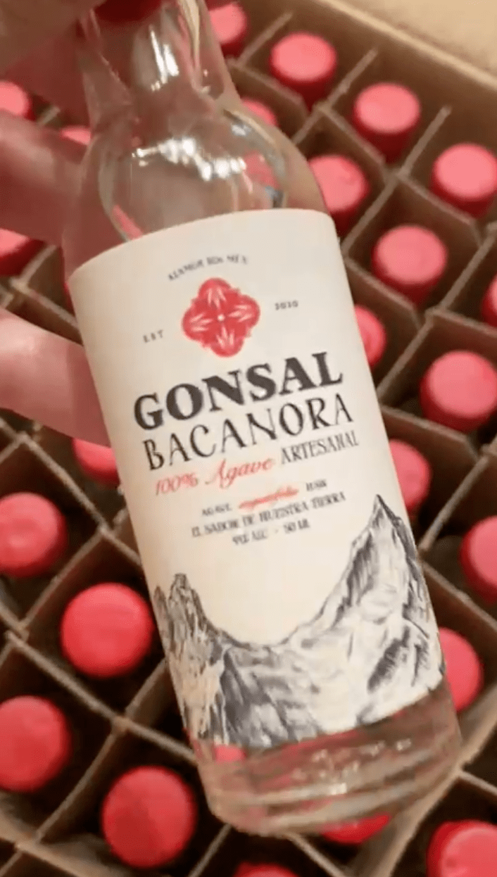 Bacanora Gonsal